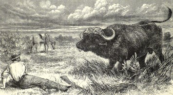 Frederick Courteney Selous’ hunting trips from 1876 – 1885 with records from his original game book
