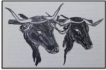 The uses of cattle in Shona Society