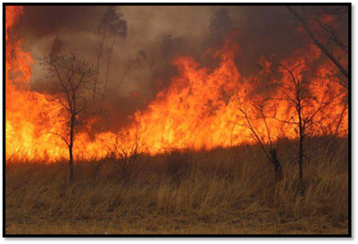 Wildfires: Zimbabwe’s scourge
