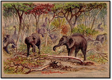 Thomas Leask’s elephant hunting trip to Matabeleland and Mashonaland in 1866 from his diary