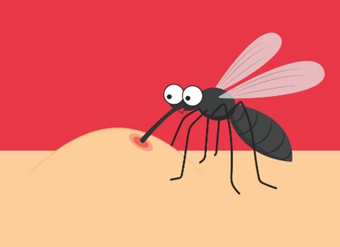 Malaria kills a child every minute worldwide; will a new vaccine save them?