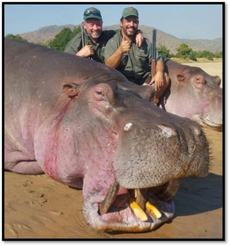 UK Parliament postpones the trophy hunting ban yet again