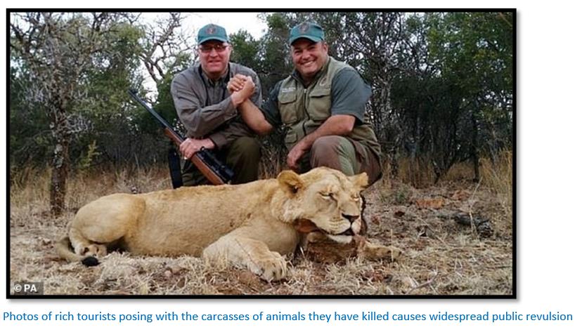 UK Parliament postpones the trophy hunting ban yet again | Zimbabwe Field  Guide